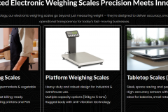 WordPress Website Development - Scalelite Technologies